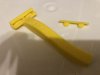 yellowabbit06.JPG