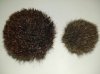 20201029_234619.jpg