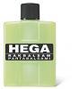 thumb_hega.jpg