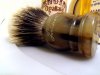 sotd11912.jpg