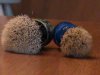 DSC00048.JPG