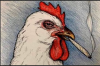 Chiken rich.png