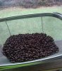 IMG_20201214_080654278.jpg