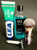 SOTD 12.14.2020.jpg