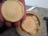 IMG_20201218_183555305.jpg