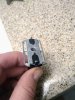 IMG_20201222_064129474.jpg