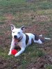 IMG_20201126_150518298 (1).jpg