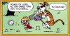 Calvinball.jpeg