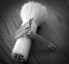 SOTD_011921.jpg