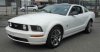 2009-Ford-Mustang-1008428-1-sm_edited_edited_edited_edited.jpg