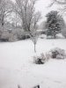 0207 snow.JPG