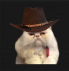 Cathat.png
