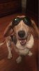 80548043-A3F4-40A8-BADF-45DDAD9DA872.jpeg