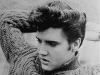 elvis hair.png