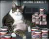 Catbeerrich.png