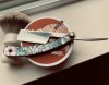 28D07184-CDA8-4AE6-B8D3-85D48187CC87.jpeg