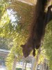 20210308_093832_20210308_094003.jpg