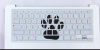 CAtboard.png