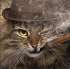 Cat cigar.png