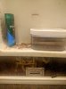 IMG_20210508_150426~2.jpg