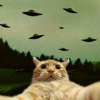 Cat rich ufo.png