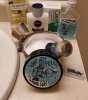 DE SOTD, June 23rd 2021.jpg