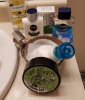 DE SOTD, Thur, June 24th 2021.jpg