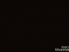 king5 (1).gif
