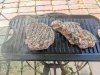 IMG_20210709_170159b.jpg
