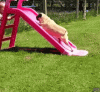 tenor (15).gif