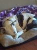 IMG_20201101_153610103.jpg