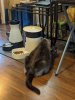 IMG_20210722_183641_resize_88.jpg