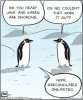 01707d8d44ef2f8c93cce32ee58fded1--funny-pics-penguins.jpg