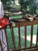 Sharpening.jpg