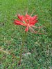 IMG_20211002_170239_resize_2.jpg