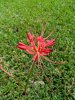 IMG_20211002_165805~2_resize_68.jpg