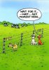 FB_IMG_1637614112109.jpg