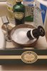 SOTD Jan 29 2022.jpg