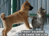 thumb_patience-grasshopper-letthe-mailman-come-to-you-10-funny-af-52514095.png