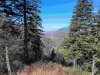 20220215_114527.jpg