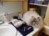 DSCN3809.JPG