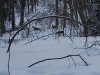 IMG_20220309_185150_893.jpg