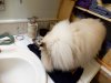 DSCN4764.JPG