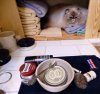DSCN4852.JPG