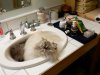 DSCN5444a.JPG
