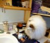 DSCN5732.JPG