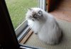 DSCN6779.JPG