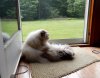 DSCN7005.JPG