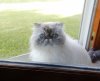 DSCN7251.JPG