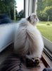 DSCN7261.JPG